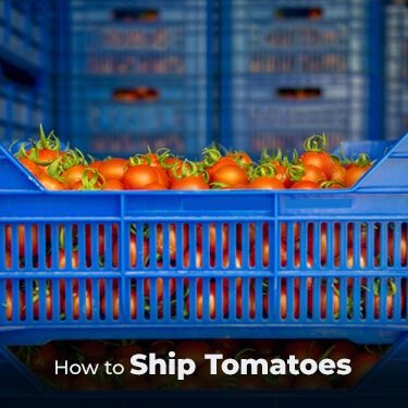 How to Ship Tomatoes