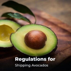 Regulations for Shipping Avocados