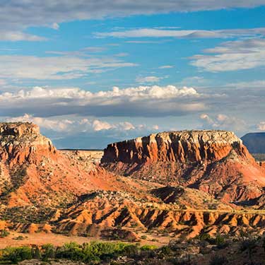 new mexico cross border shipping