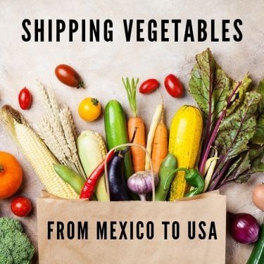 shipping vegetables from mexico to usa