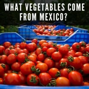 what vegetables come from mexico