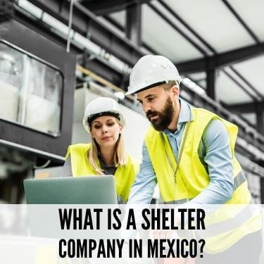 What Is A Shelter Company In Mexico