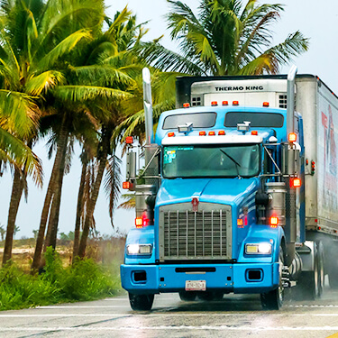 Blue Freight Truck Intra-Mexico Freight Shipping